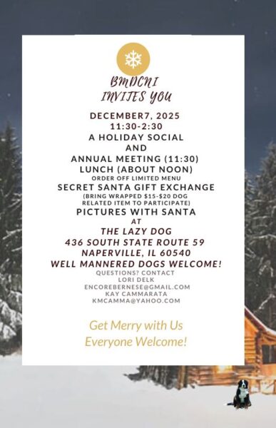 Holiday Party & Meeting @ Lazy Dog | Burr Ridge | Illinois | United States