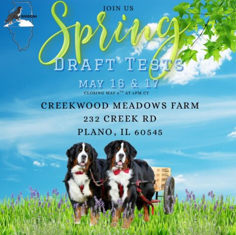 Draft Test hosted by BMDCNI @ Creekwood Farms