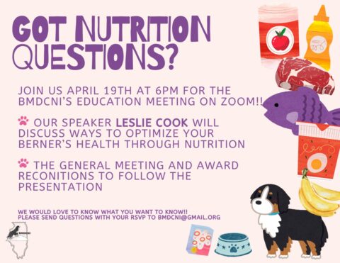 BMDCNI Education & Awards meeting / club meeting